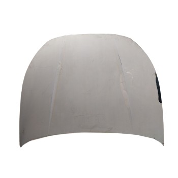 CAPOT DELANTERO 5FA823031D 