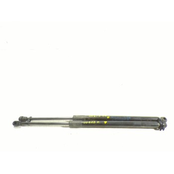 AMORTIGUADORES MALETERO / PORTON 