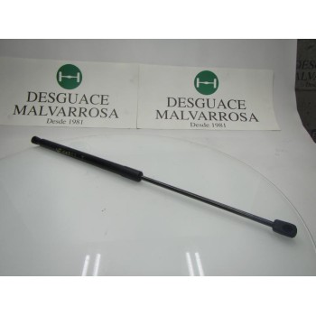 AMORTIGUADORES MALETERO / PORTON 