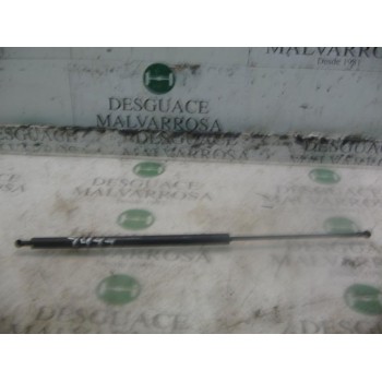 AMORTIGUADORES MALETERO / PORTON 