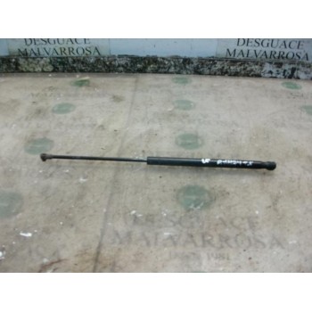 AMORTIGUADORES MALETERO / PORTON 