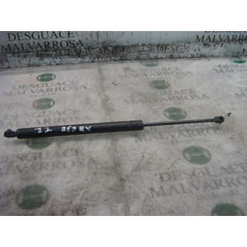 AMORTIGUADORES MALETERO / PORTON 