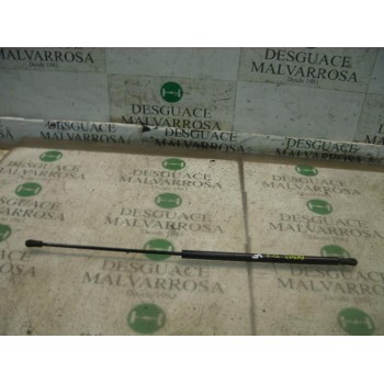 AMORTIGUADORES MALETERO / PORTON 