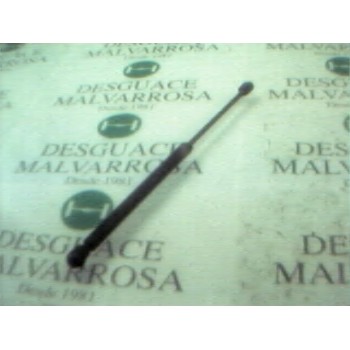 AMORTIGUADORES MALETERO / PORTON 