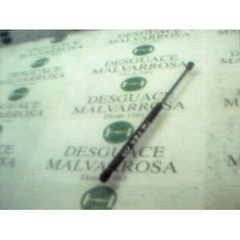 AMORTIGUADORES MALETERO / PORTON 