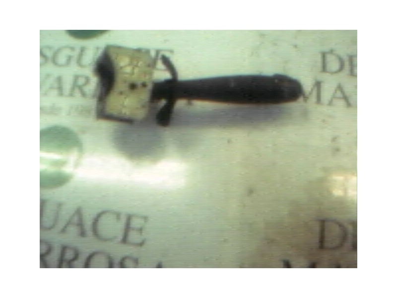 Recambio de mando limpia para renault clio ii fase i (b/cbo) 1.2 alize referencia OEM IAM   