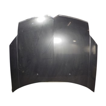 CAPOT DELANTERO 790143 