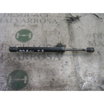 AMORTIGUADORES MALETERO / PORTON 51241960862 