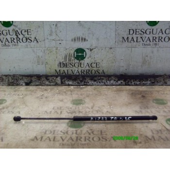 AMORTIGUADORES MALETERO / PORTON 