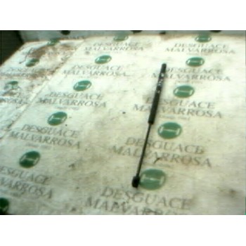 AMORTIGUADORES MALETERO / PORTON 