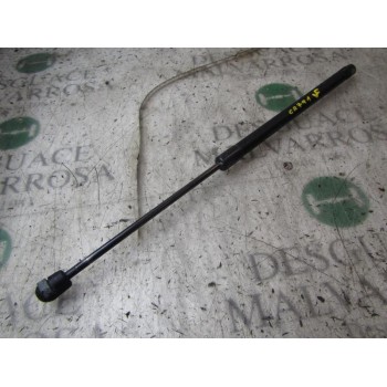 AMORTIGUADORES MALETERO / PORTON 