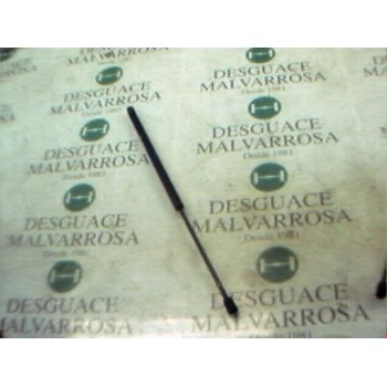 AMORTIGUADORES MALETERO / PORTON 