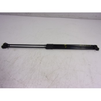 AMORTIGUADORES MALETERO / PORTON 39089133 315005777 