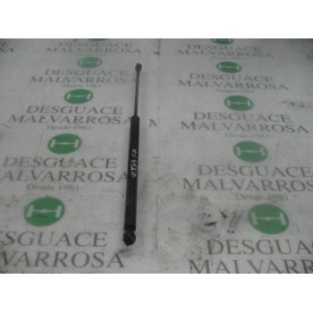 AMORTIGUADORES MALETERO / PORTON 