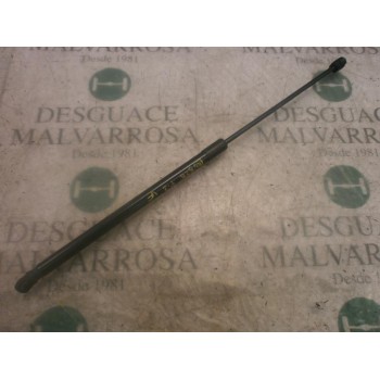 AMORTIGUADORES MALETERO / PORTON 