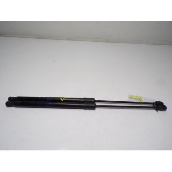 AMORTIGUADORES MALETERO / PORTON 39169064 