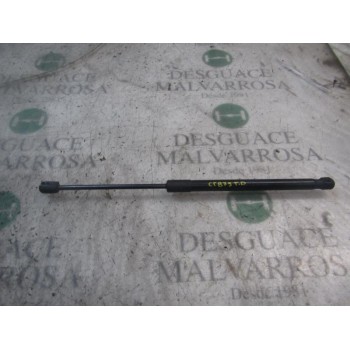 AMORTIGUADORES MALETERO / PORTON 8180162811 