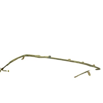 AIRBAG CORTINA DELANTERO IZQUIERDO 7L6880741F 7L6880741F 