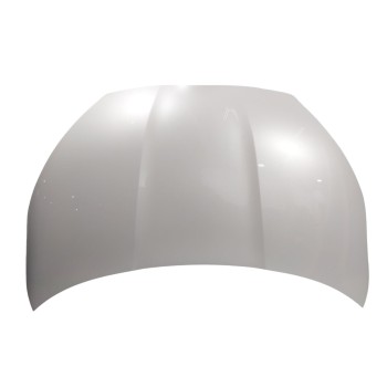 CAPOT DELANTERO 53301K0010 