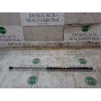 AMORTIGUADORES MALETERO / PORTON 