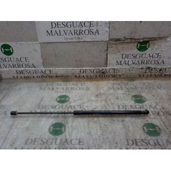 AMORTIGUADORES MALETERO / PORTON 