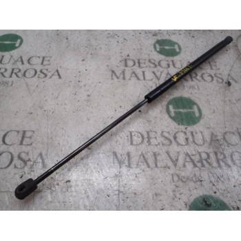 AMORTIGUADORES MALETERO / PORTON 