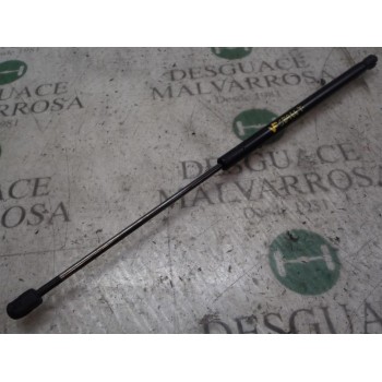 AMORTIGUADORES MALETERO / PORTON 