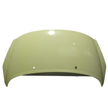 CAPOT DELANTERO 7901N2 