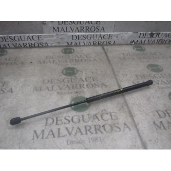 AMORTIGUADORES MALETERO / PORTON 