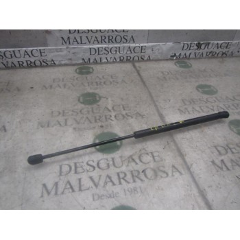 AMORTIGUADORES MALETERO / PORTON 