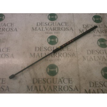 AMORTIGUADORES MALETERO / PORTON 