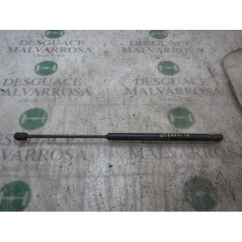 AMORTIGUADORES MALETERO / PORTON 