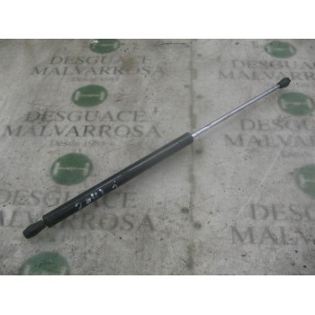 AMORTIGUADORES MALETERO / PORTON 