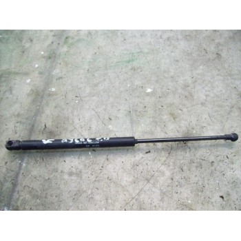 AMORTIGUADORES MALETERO / PORTON 