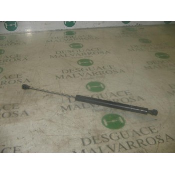 AMORTIGUADORES MALETERO / PORTON 