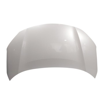 CAPOT DELANTERO 53301K2010 