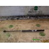 Recambio de amortiguador capot para citroën berlingo 1.9 d 600 furg. referencia OEM IAM   