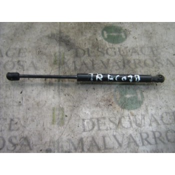 AMORTIGUADORES MALETERO / PORTON 