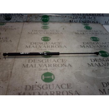 AMORTIGUADORES MALETERO / PORTON 