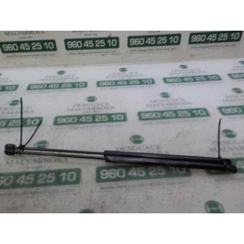 AMORTIGUADORES MALETERO / PORTON 13428038 