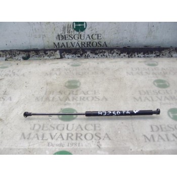 AMORTIGUADORES MALETERO / PORTON 