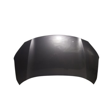 CAPOT DELANTERO 53301K2010 