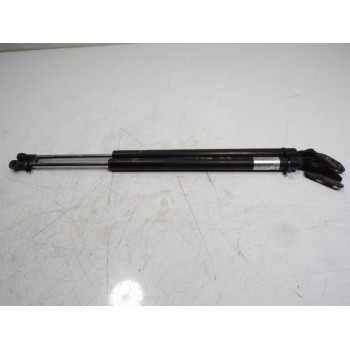 AMORTIGUADORES MALETERO / PORTON EG2162620D EG2163620D