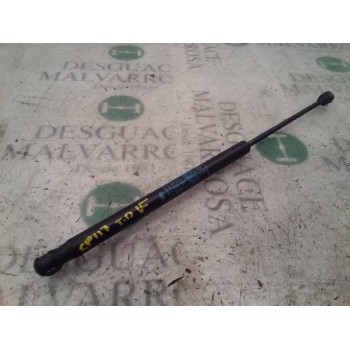 AMORTIGUADORES MALETERO / PORTON 