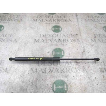 AMORTIGUADORES MALETERO / PORTON 