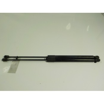 AMORTIGUADORES MALETERO / PORTON 