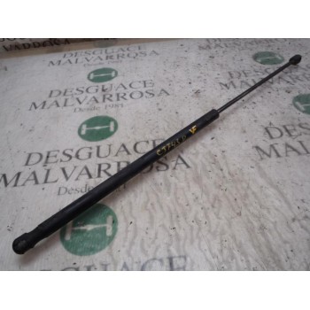 AMORTIGUADORES MALETERO / PORTON 