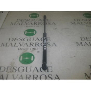 AMORTIGUADORES MALETERO / PORTON 