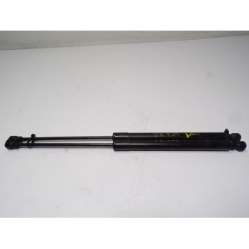 AMORTIGUADORES MALETERO / PORTON 9831976680 