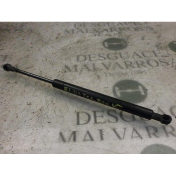 AMORTIGUADORES MALETERO / PORTON 51248254281 